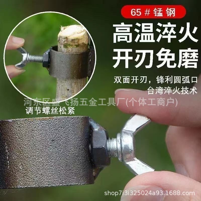 微信图片_202504180957502.jpg