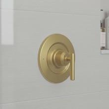 淋浴龙头面板替换套装 单把手恒温压力平衡阀 装饰盖板手柄套件