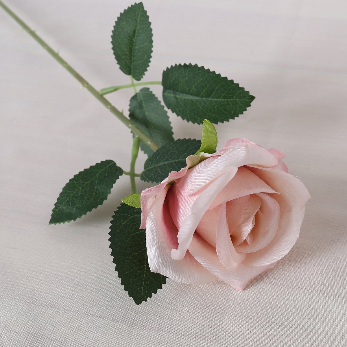 Una sola rosa en polvo de piel (tela de seda)