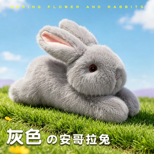 �羳����ë�q��߹����L������żſſ�Ã�ͯ��˯���������նY��