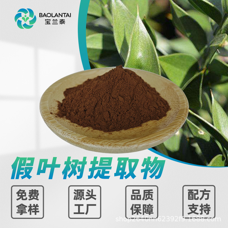 假叶树提取物10:1食品级假叶树浓缩粉功能性食品原料源头工厂包邮