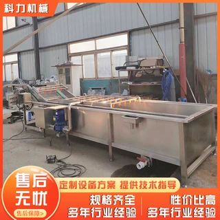 辣椒韭菜气泡清洗机 葡萄干气泡清洗机 豆角清洗机 厂家供应