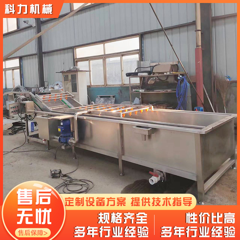 大型气泡清洗机 瓜果蔬菜清洗机 菠菜油菜气泡清洗机现货