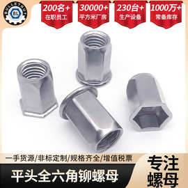 304不锈钢平头全六角铆螺母 小头全六角铆螺母头部六角铆螺母