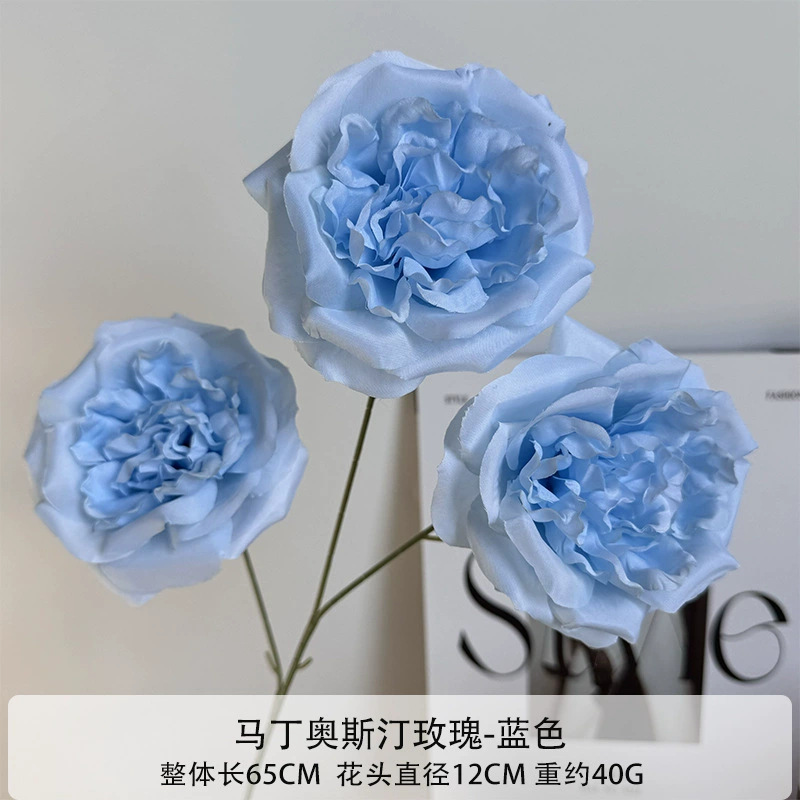 Martin Austin Rose - Azul