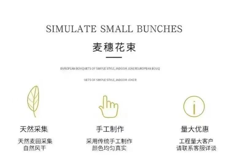 efc88210-42be-461e-bc0c-b7df1b005ec9.jpe