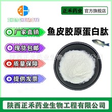 鱼皮胶原蛋白肽99% 胶原蛋白肽 胶原蛋白粉 深海鱼皮胶原蛋白现货