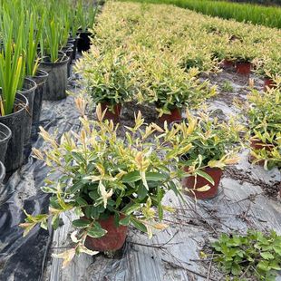 ���~��� ���~��� �ɶ��@�־G��������ľ �ر� ������·�����M��