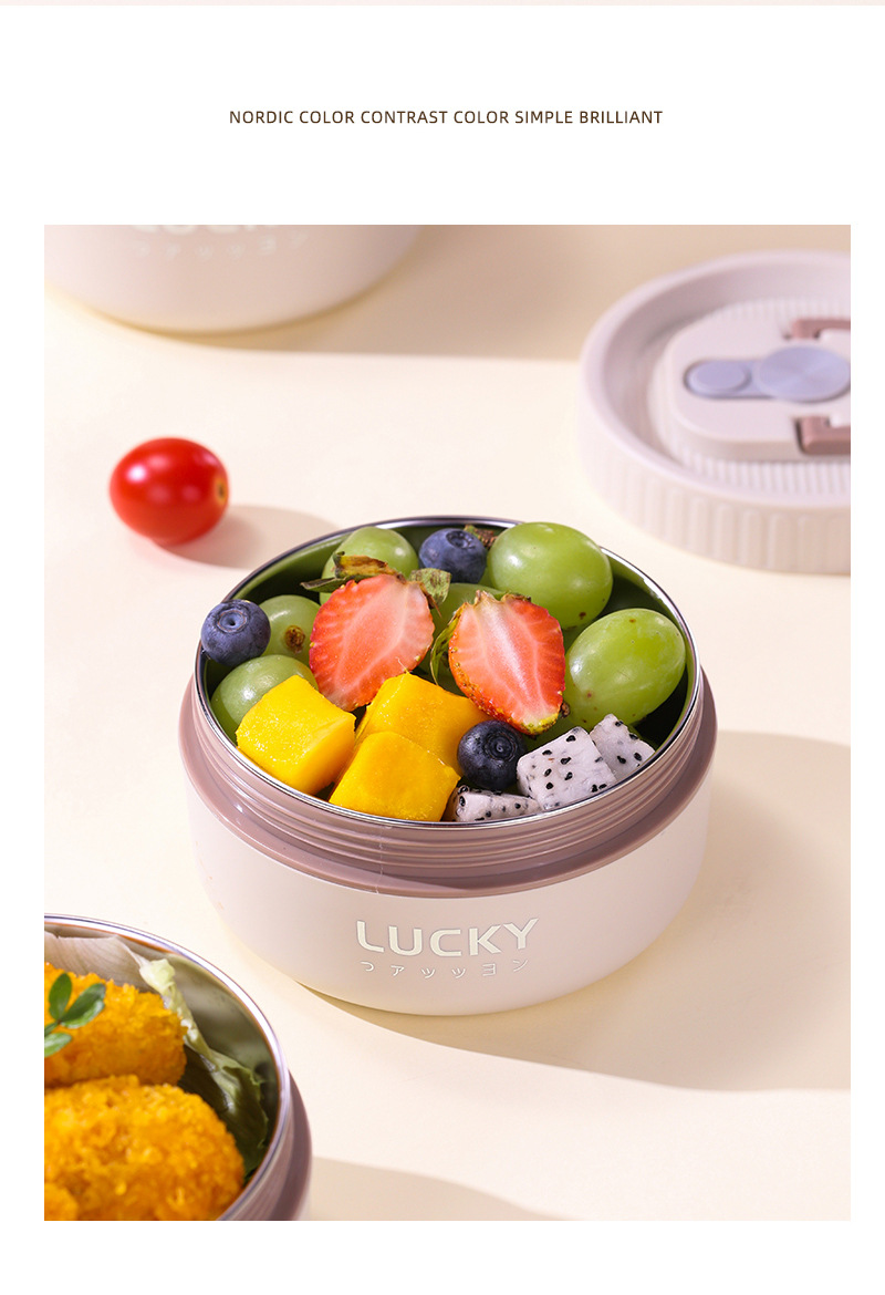 Insulated Lunch Box Design 8