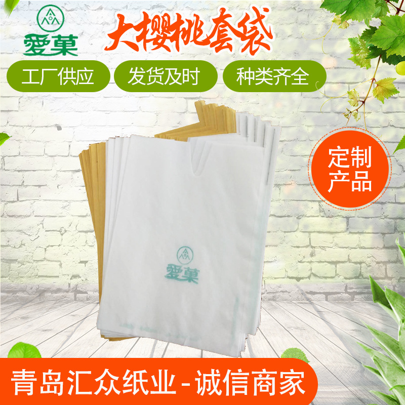 草莓套袋水果套袋大樱桃专用套袋育果袋遮光袋防虫防鸟透气透光