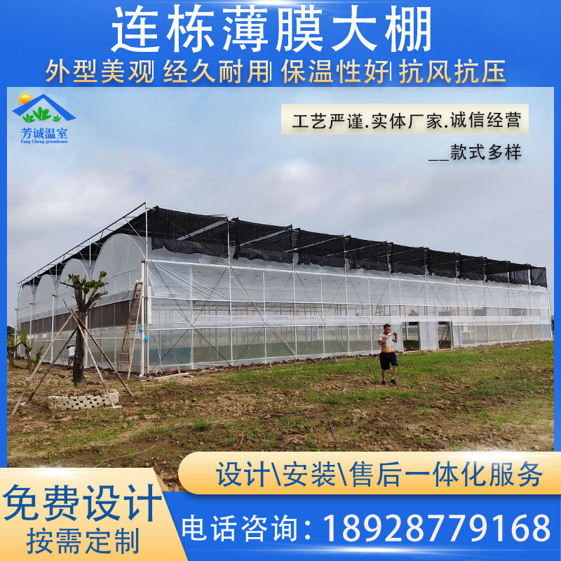 厂家供应 连栋温室大棚建设 蔬菜薄膜大棚设计安装售后一体化服务