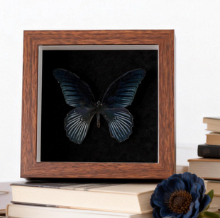 ��������F���ͺ�Ҋ�������P������[���ͶY�˱��b쮋���ҷ��g