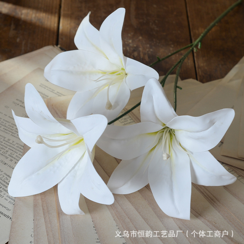 순백의