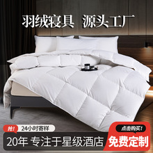 星级酒店羽绒被白鹅绒被子白鸭绒春秋被芯希尔顿100%鹅绒厂家直销