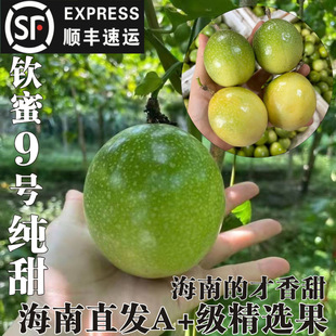 ��S���\���ϚJ��9̖����������Fժ���������o��