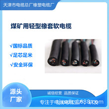 Vpܛ|MYQ-300V-14*1.0mm2 úJC