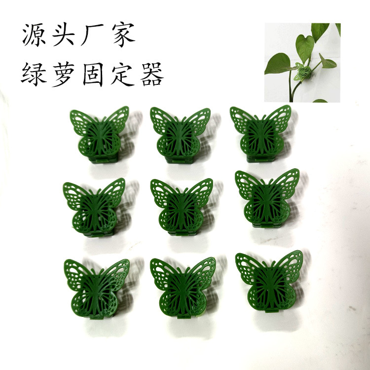 Rábano verde titular de ventas directas de vid planta verde de pared fija hebilla de ratán sin costura en forma de pared de escalada hebilla organizador de cables