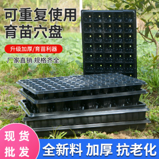 Thickened fleshy sprouts Incubator Hole Plate Vegetable Fleshy Planting Seedling Box Seedling Plate Plastic Nutrition Pot