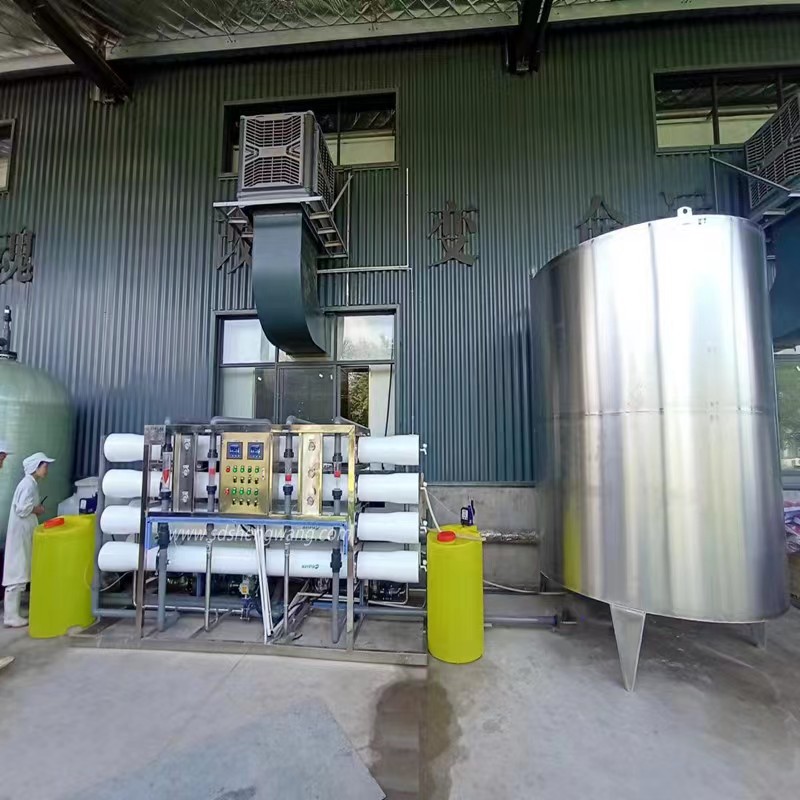 反渗透纯净水双级设备 胜王水处理 工业脱盐过滤软化系统