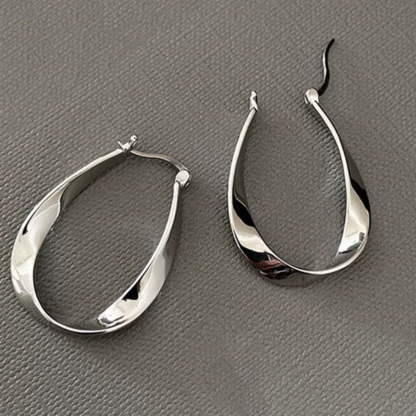 Irregular Oval-Shaped Metal Earrings, Retro Niche Design, Fashionable Earrings, High-End Earrings for Women