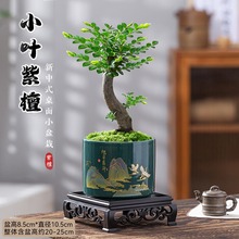 С�~����̴�Ϙ��ڹǲ������k���҃ȶU����B�ļ�����Gֲ��΢�辰