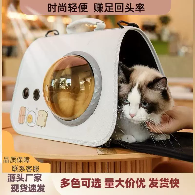 宠物便携太空包外带猫包手提单肩包透气背包卡通猫咪狗包包航空箱
