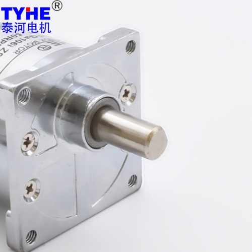 Factory wholesale 12V/24V 42mm diameter torque DC reduction motor, mini motor gear motor