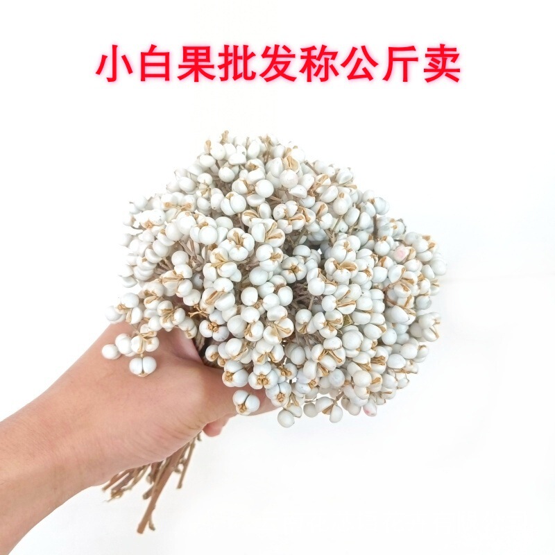 Dried White Fruit Flowers, Everlasting Flowers, Dried Fruit from Elm, White Beans, Coix Seeds, Dried Fruit Flowers, Home Fragrance Decoration, Real Flower Bouquet