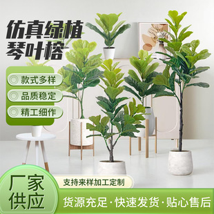 ����Gֲ���~���҃������b���@���쾰�͏d�T�ڔ[������ֲ��