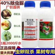 40%���x����x����֦���۵����x�����ٝ��~���rș���x��500��