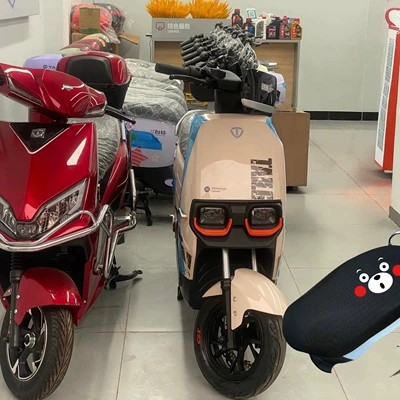 Electric car cushion and heat insulation pad, electric scooter seat - size-medium-sized-pedal-seat-cover-shipped-from-shandong-available-for-immediate-delivery-color-guomiyan-warm-in-winter-cool-in-summer-no-pilling-send-directly