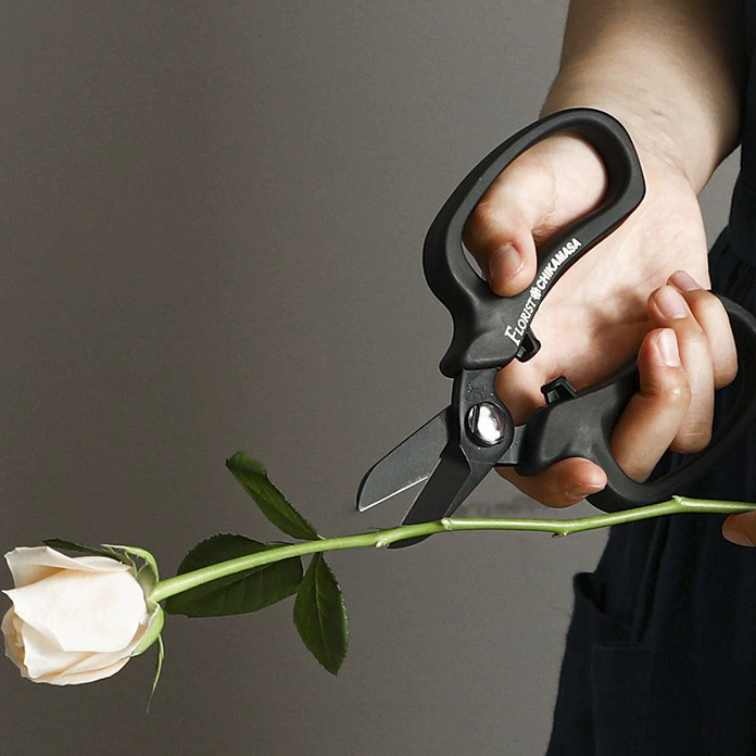 Jizheng Toucan японские импортные цветочные ножницы садовые ножницы цветочный художник специальная Цветочная композиция ножницы для обрезки