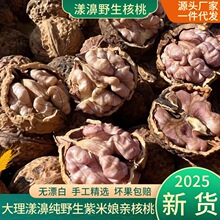 5新云南大理漾濞野生老树原味孕妇紫仁尖嘴紫米娘亲紫皮核桃