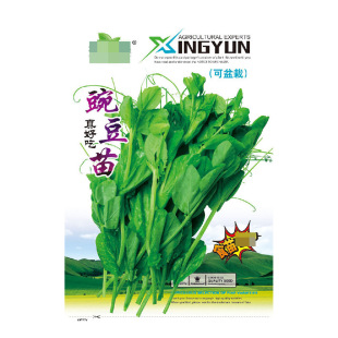 �㶹��N�� �r��ˈ@�r���N���߲˿������׷Nֲ�㶹����