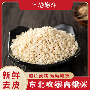 �|�����r�׸�����Ó��ȥƤ����ּZ�s�Z�tŴճ���������lһ�����l