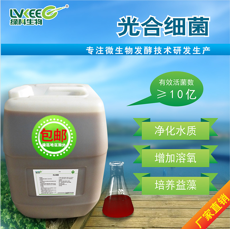 光合细菌液体10 水产养殖改底净水不耗氧 降解有机质