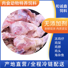 厂家供应狐狸蛇貂狗饲料宠物主食肉食动物冷冻带脖鸡架