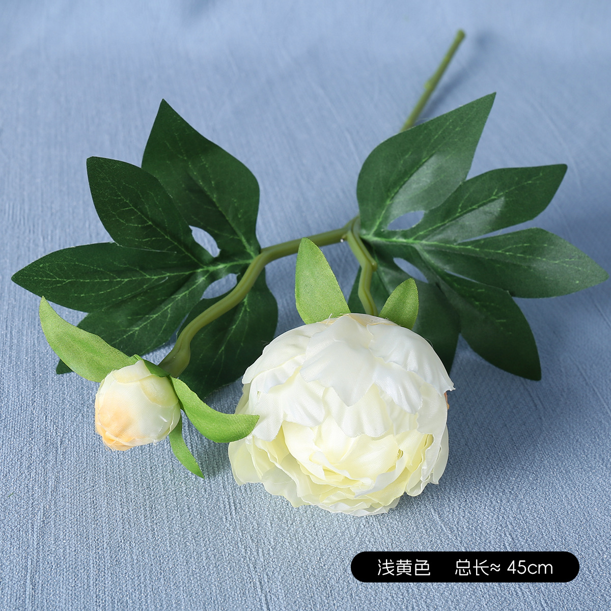 모란 연한 노란색