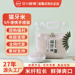 ����5��һ�����l����؈����С���b���׼������ò�YƷ�Z�ʹ��l