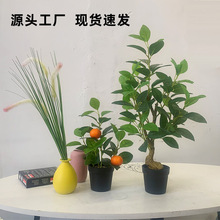 �W�t�������[��С�����b����ϼٻ�����ֲ��С�����B���˽��쾰