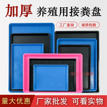 ©�S��؈�u�S���ϼӺ���ʺ��P�����ӹ��\�ӽӼS�P�бP�Bֳ�û\