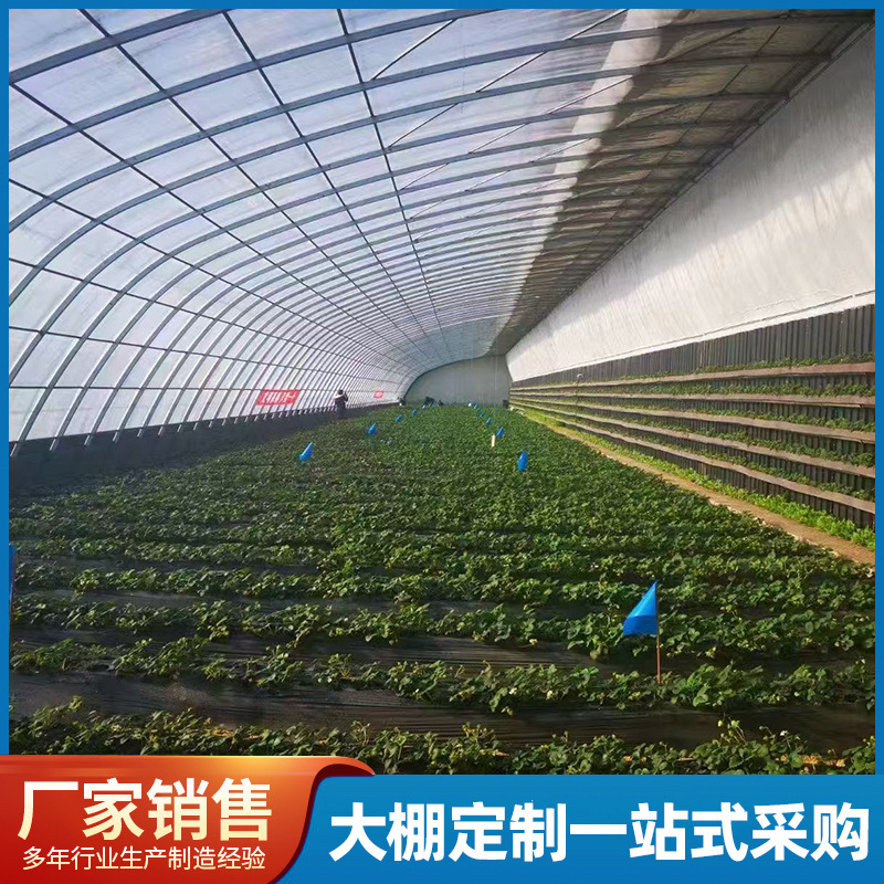 大棚钢管骨架温室大棚水产养殖大棚鸡鸭鹅棚牛羊饲养大棚全套配件