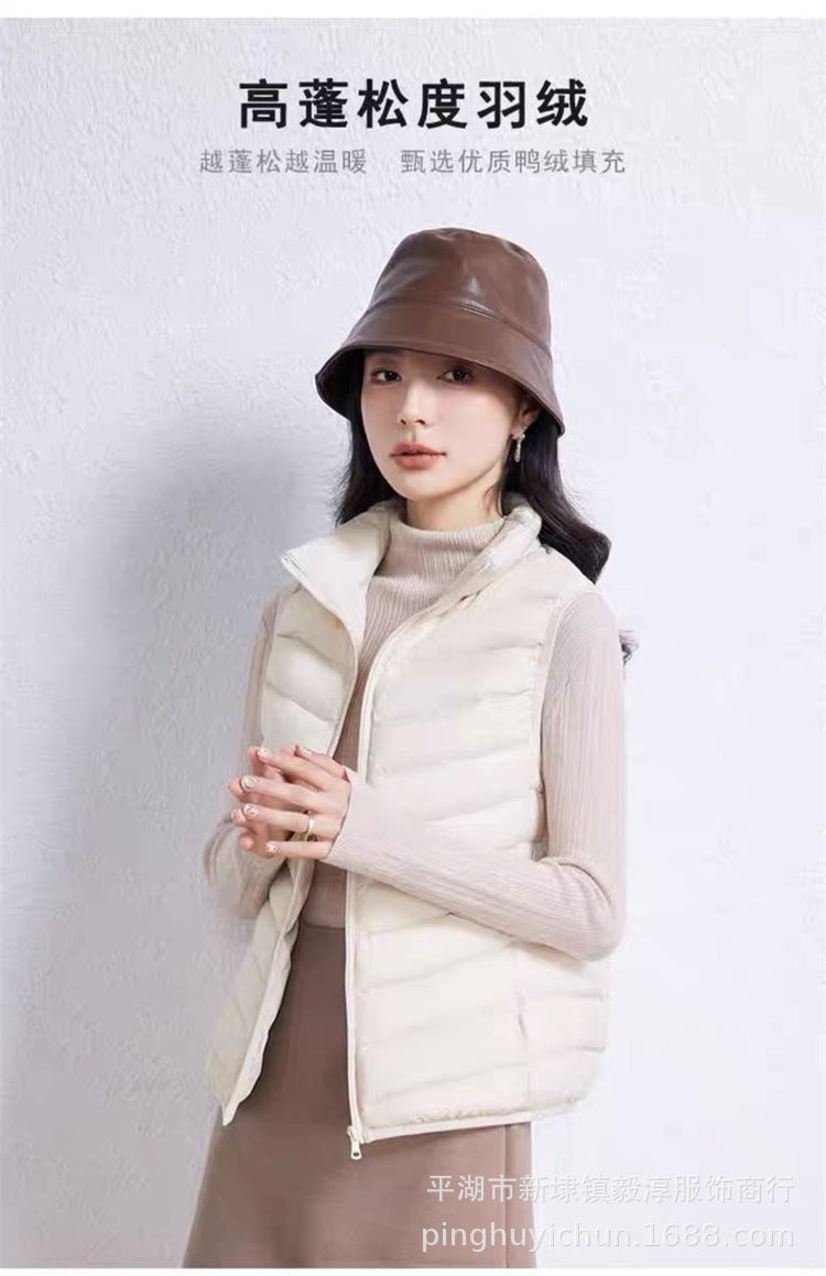 B6A83933DE9B2E8F46D951D16AA44A