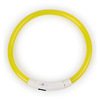 USB charging light emitting item luminous dog fiber fiber collar LED teddy golden hair dog collar all -dog species