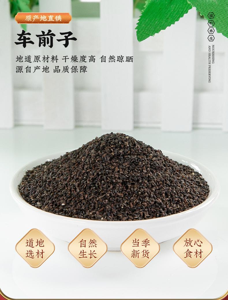 Plantain Seed Che Qian Zi 500g Dried Herb for Tea and Decoction overview