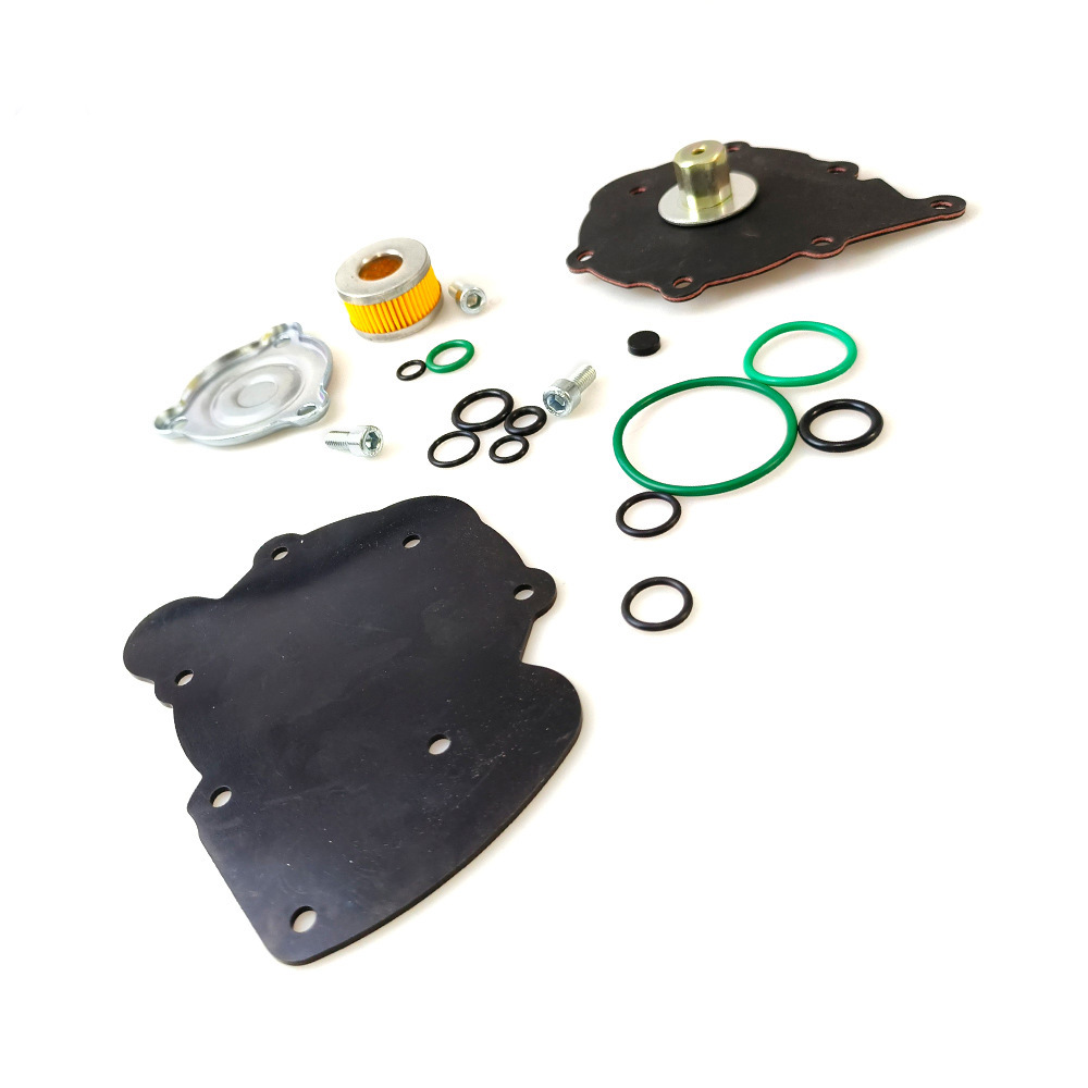 Lpg/Cng Car Oil to Gas At09 Nordic Repair Kit Modified Maintenance Spare Gas Car Accessories