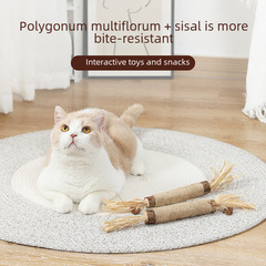 Cat toy self-entertaining boredom relief extra large cat teaser stick catnip ball Hinoki wood baby cat chew toy durable biting cat supplies