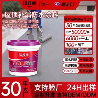 定制外露型屋顶防水补漏剂 水性净味补漏王卫生间屋顶防水涂料