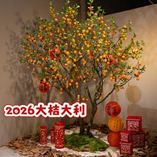 �������Ә�2026�����S��҃��bt������ʽ�����쾰�٘���Ә�