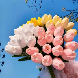 小夜灯;创意夜灯